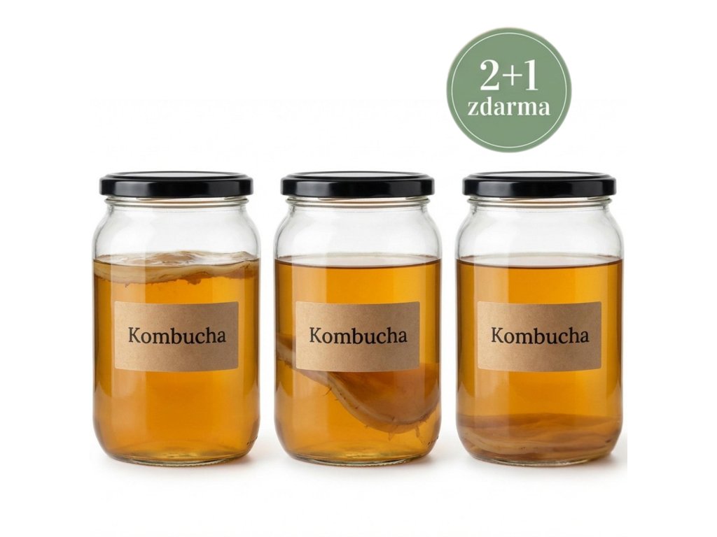 Kombucha SCOBY 2+1 zdarma